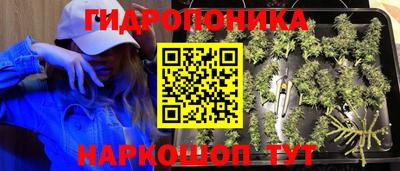 mdma Заводоуковск