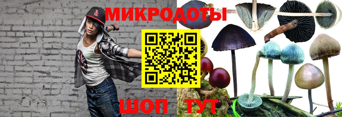 Саратов  Псилоцибиновые грибы мицелий  Вход с VPN  Псилоцибиновые грибы прущие грибы 